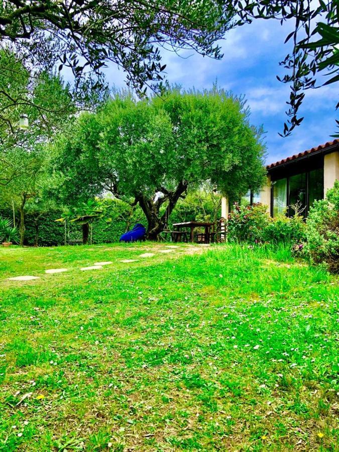 Du Verdon Provence Avec Piscine Et Jardin - Private Villa
