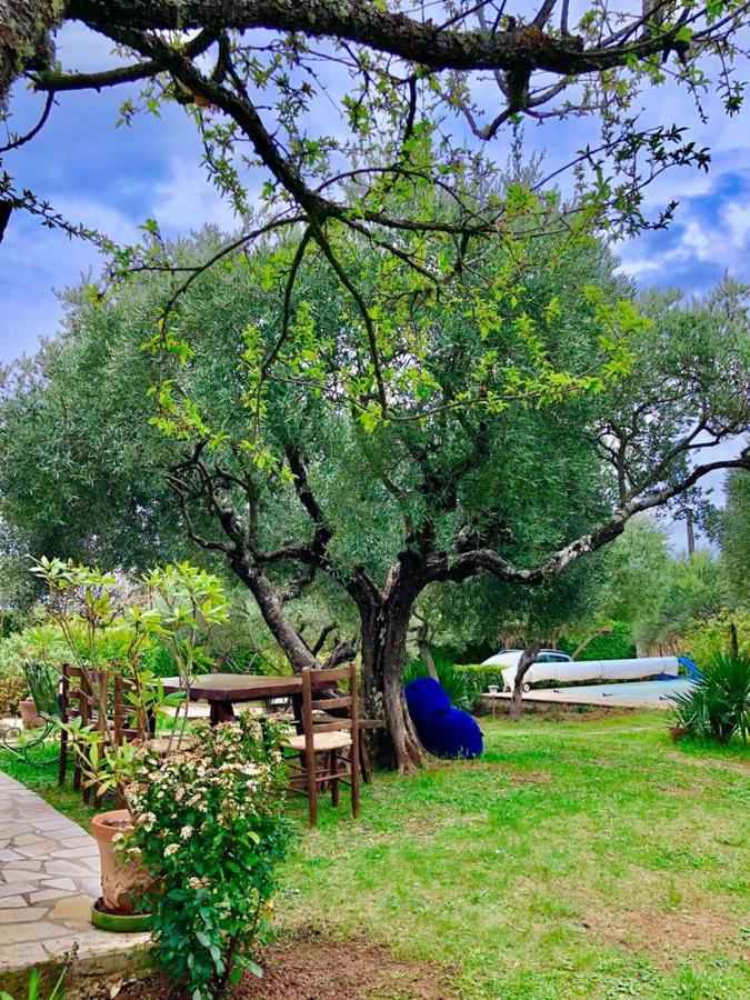 Villa Du Verdon Provence Avec Piscine Et Jardin - Private Regusse